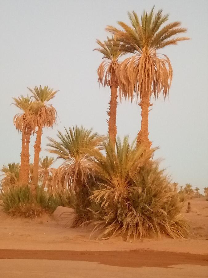 Sahara Peace Camp Hotel Zagora Kültér fotó