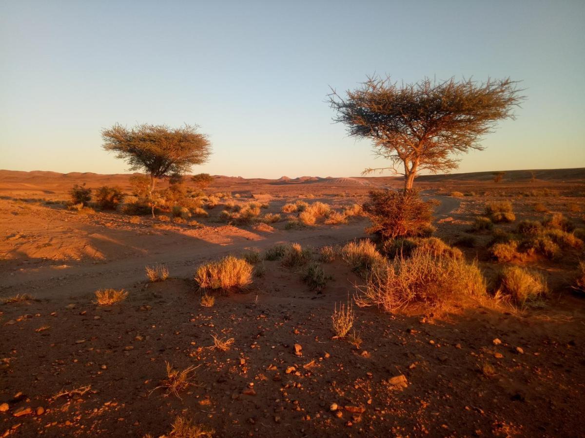 Sahara Peace Camp Hotel Zagora Kültér fotó