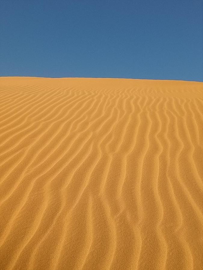 Sahara Peace Camp Hotel Zagora Kültér fotó