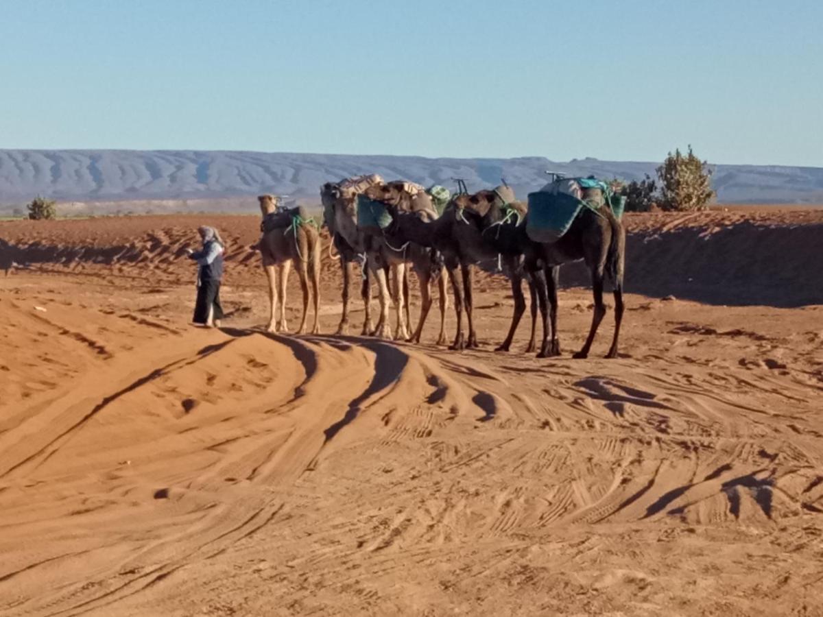 Sahara Peace Camp Hotel Zagora Kültér fotó
