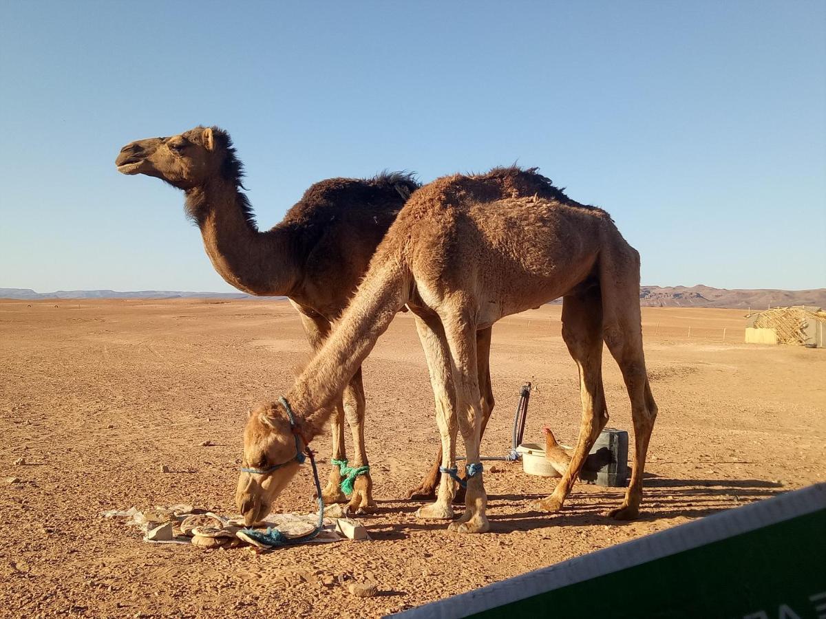 Sahara Peace Camp Hotel Zagora Kültér fotó