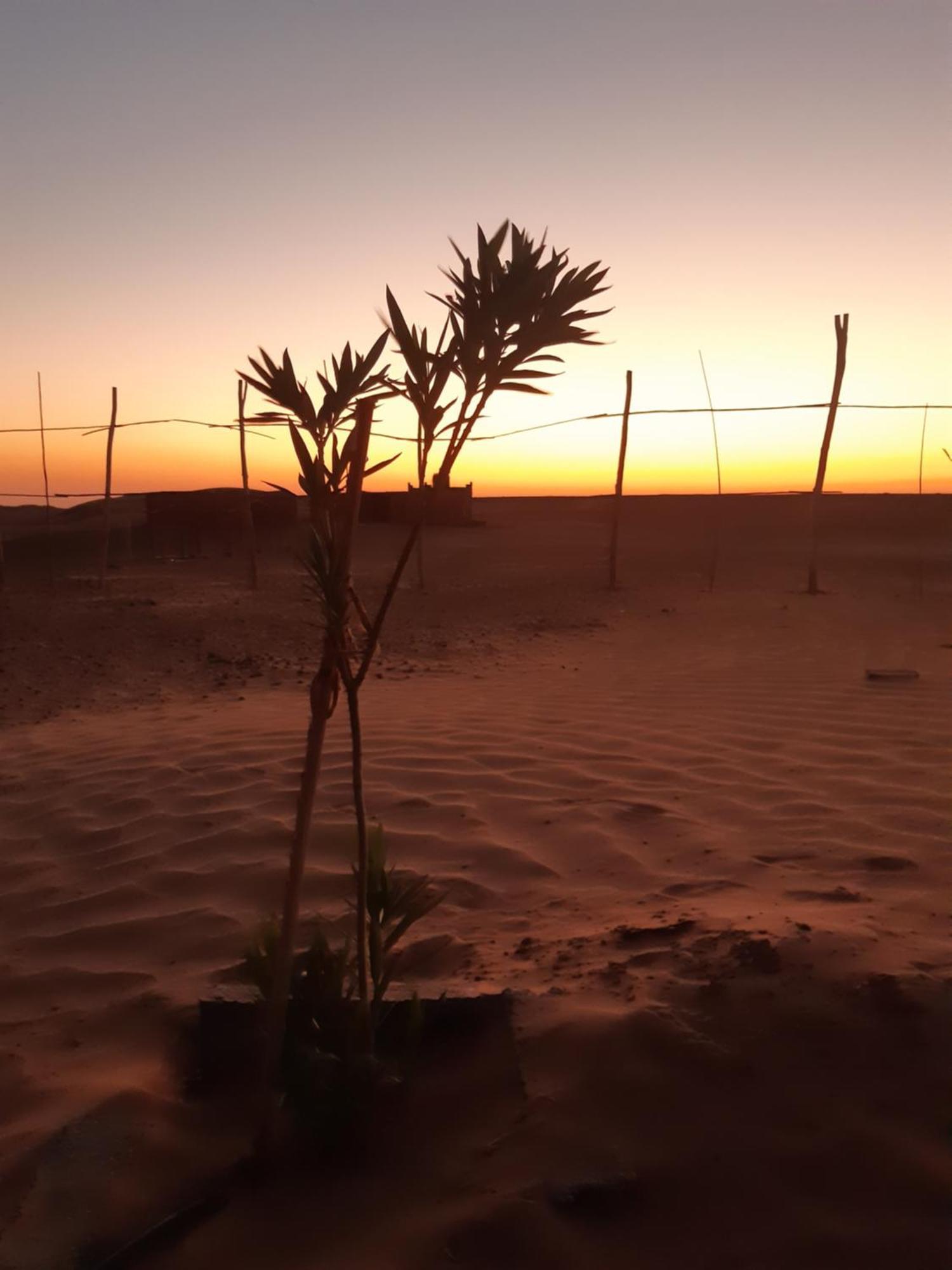 Sahara Peace Camp Hotel Zagora Kültér fotó